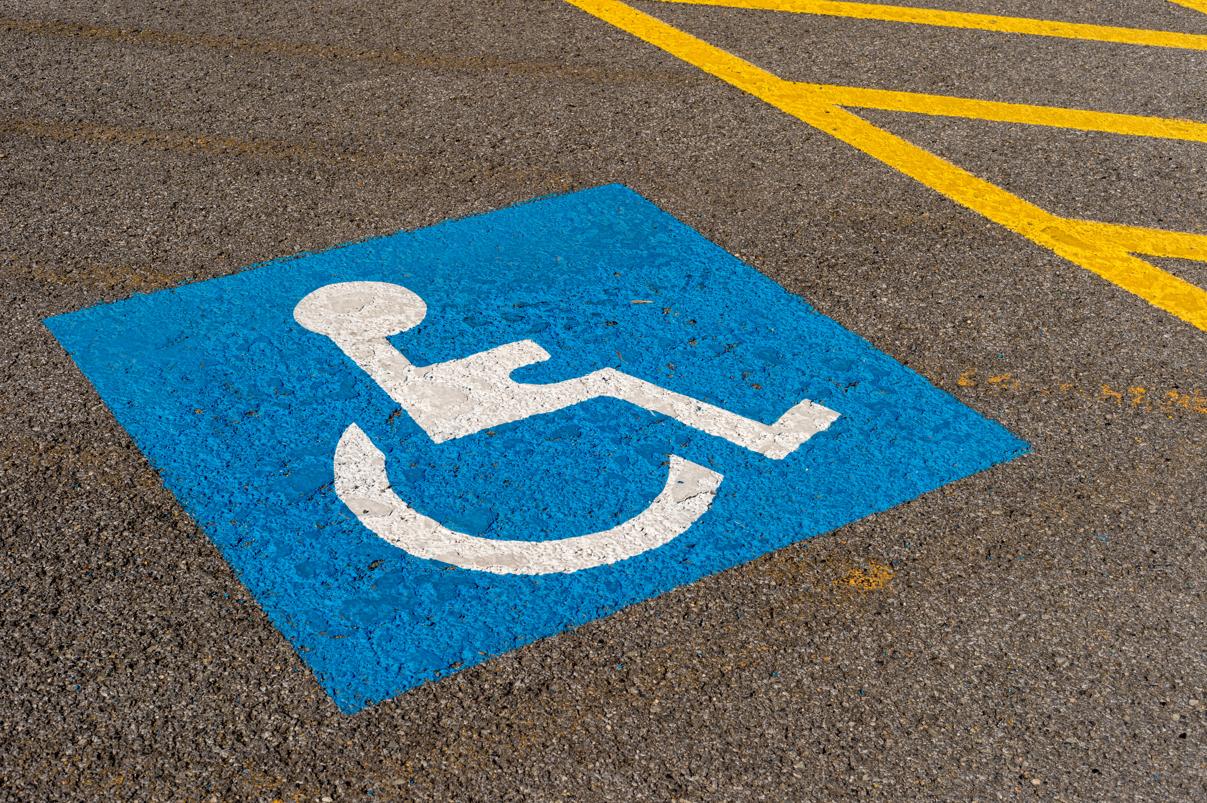 Disability Park