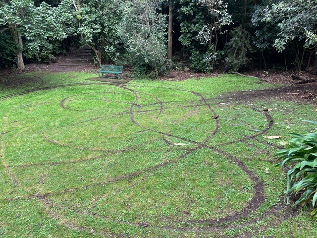 Grass damaged at Naumai Park. 